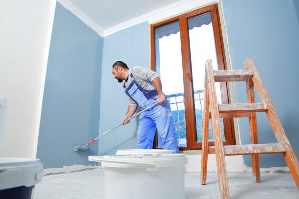 Best Mold Damage Restoration  in Bellevue, OH