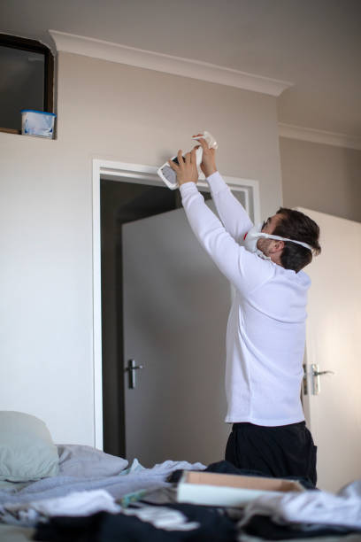  Bellevue, OH Mold Removal Pros