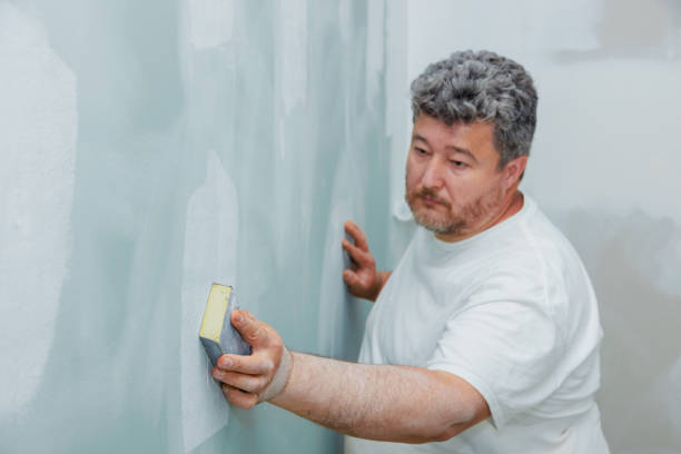 Environmental Consulting for Mold Prevention in Bellevue, OH