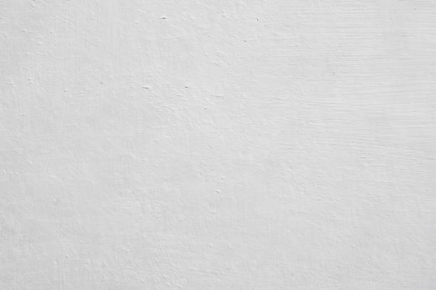Best Asbestos and Lead Testing During Mold Inspection  in Bellevue, OH
