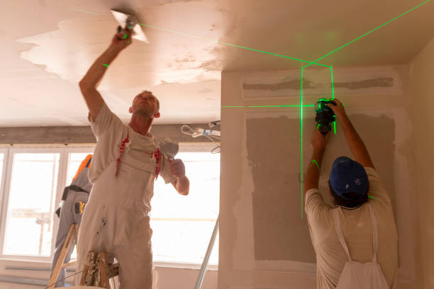 Best Post-Construction Mold Inspection  in Bellevue, OH