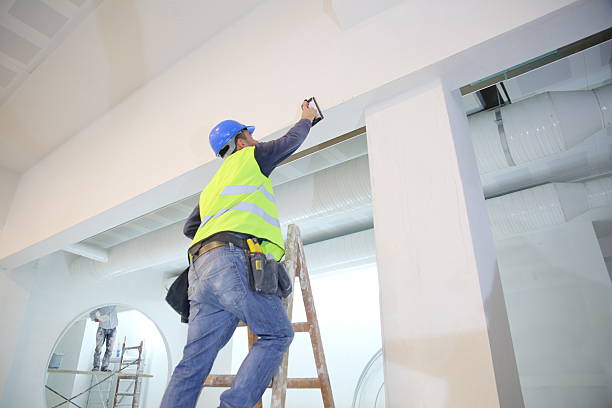 Mold Odor Removal Services in Bellevue, OH