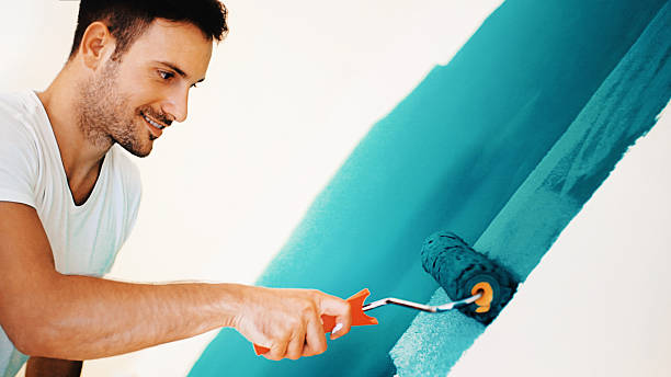 Best Basement Mold Removal  in Bellevue, OH