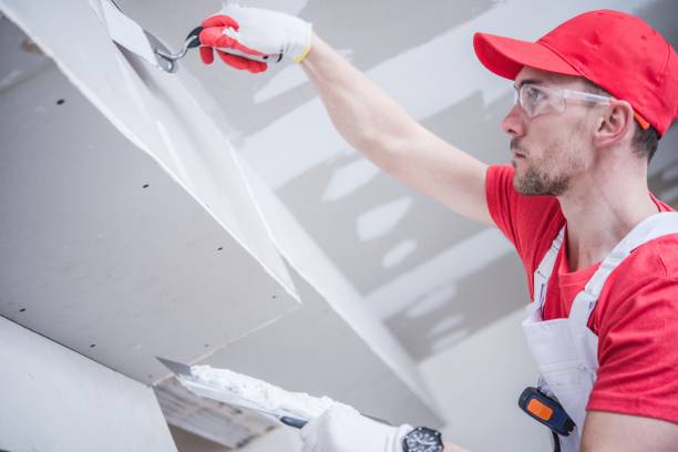 Best Mold Prevention Services  in Bellevue, OH
