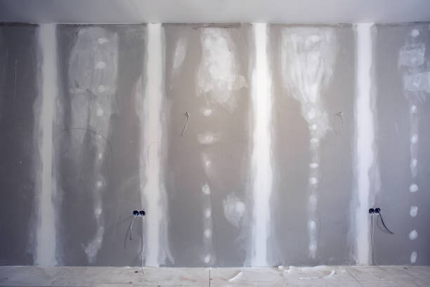 Best HVAC Mold Inspection and Cleaning  in Bellevue, OH